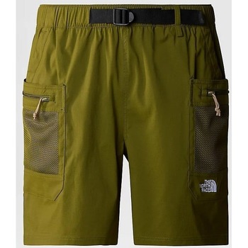 Kleidung Herren Shorts / Bermudas The North Face NF0A86QJPIB1 Grün