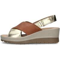 Schuhe Damen Sandalen / Sandaletten IgI&CO 5686422 Braun