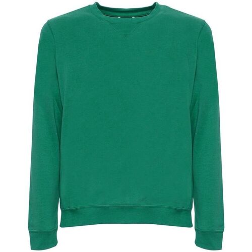 Kleidung Herren Sweatshirts Husky hs23beufe36co193 colin-c455 green Grün