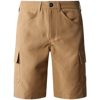 Kleidung Herren Shorts / Bermudas The North Face NF0A824D1731 Braun