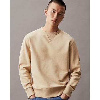 Kleidung Herren Sweatshirts Calvin Klein Jeans J30J323426 Grün