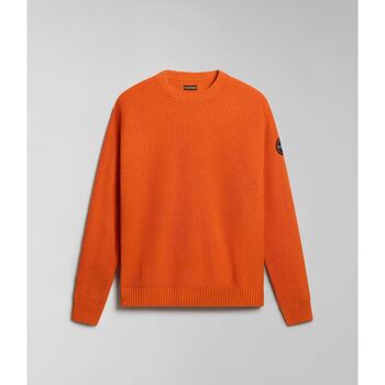 Kleidung Herren Sweatshirts Napapijri D-GWICH C NP0A4HPU-A62 BURNT ORANGE Orange