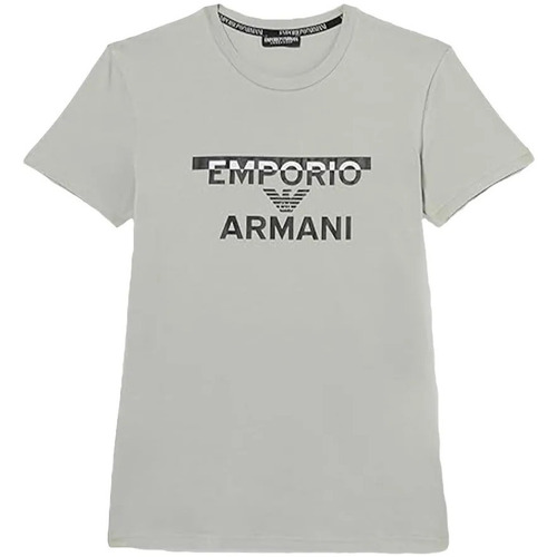 Kleidung Herren T-Shirts Emporio Armani GA eagle Grau