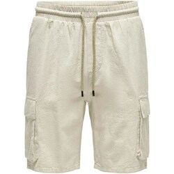 Kleidung Herren Shorts / Bermudas Only & Sons  22028269 Silbern