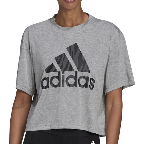 Kleidung Damen T-Shirts adidas Originals HF4638 Grau