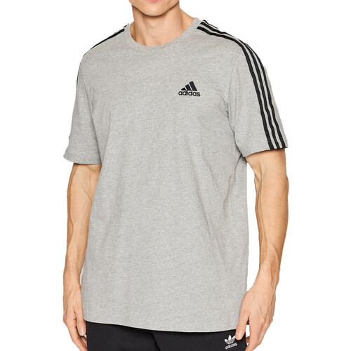Kleidung Herren T-Shirts adidas Originals GL3735 Grau