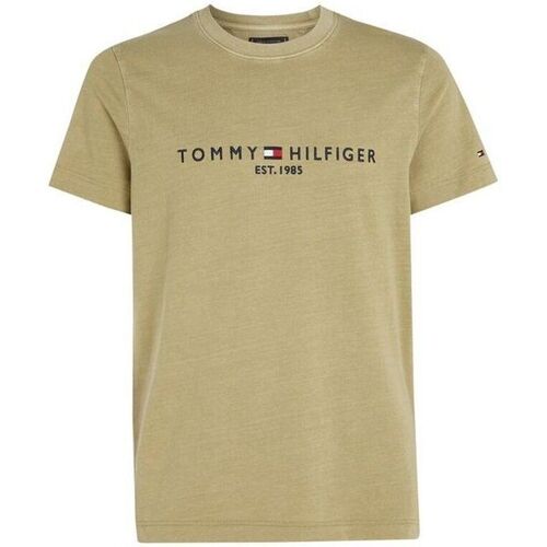 Kleidung Herren T-Shirts & Poloshirts Tommy Hilfiger MW0MW35186-L9F FADED OLIVE Grün