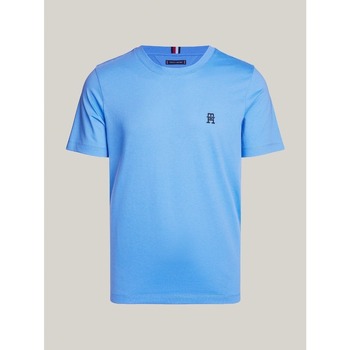 Kleidung Herren T-Shirts & Poloshirts Tommy Hilfiger MW0MW33987 Blau