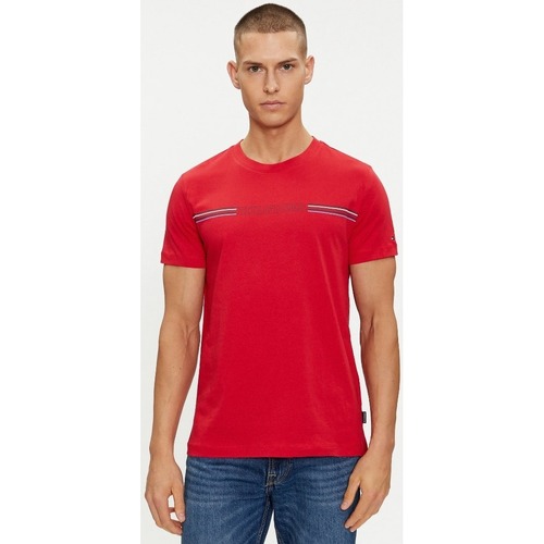 Kleidung Herren T-Shirts & Poloshirts Tommy Hilfiger MW0MW34428 Rot