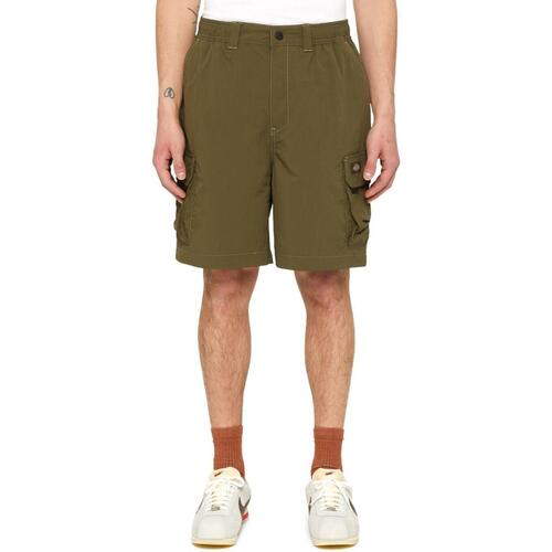 Kleidung Herren Shorts / Bermudas Dickies  Grün