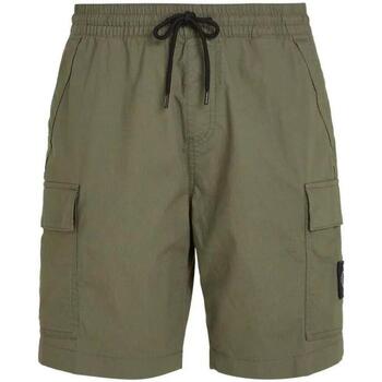Kleidung Herren Shorts / Bermudas Calvin Klein Jeans  Grün