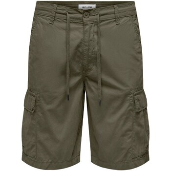 Kleidung Herren Shorts / Bermudas Only & Sons  22029214 Grün
