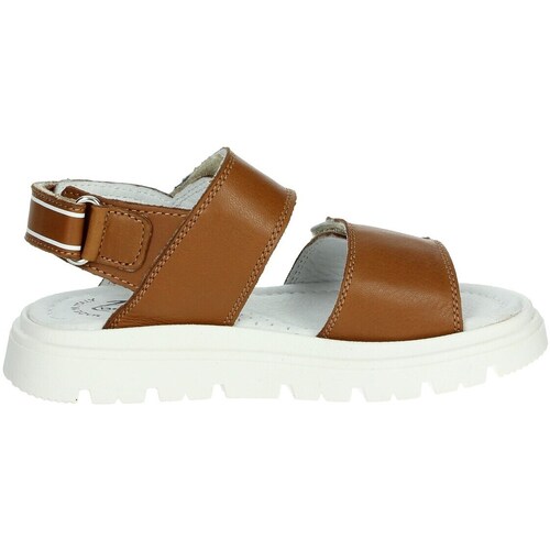 Balducci MALD1036 Other