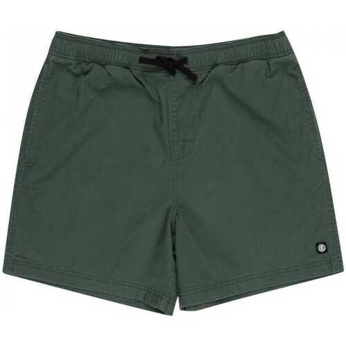 Kleidung Herren Shorts / Bermudas Element Valley twill Grün