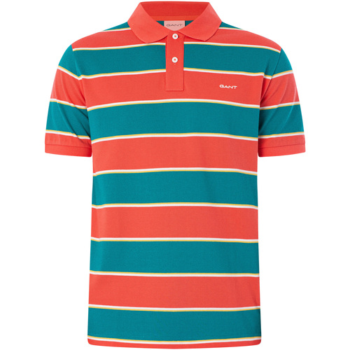 Kleidung Herren Polohemden Gant Gestreiftes Piqué-Poloshirt Multicolor
