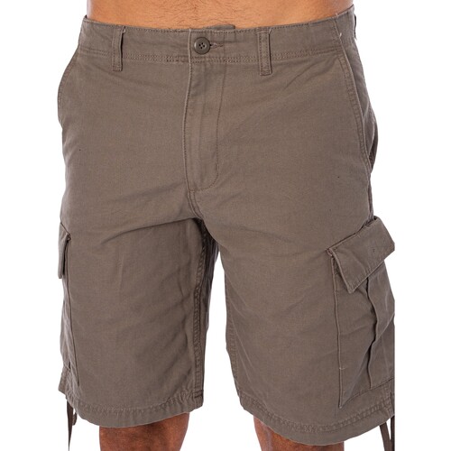 Kleidung Herren Shorts / Bermudas Jack & Jones Cole Barkley Cargo-Shorts Grau