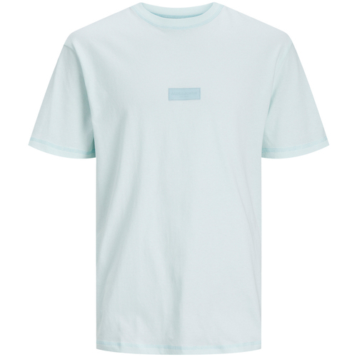 Kleidung Herren T-Shirts Jack & Jones 12234809 Blau