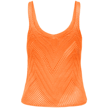 Kleidung Damen T-Shirts & Poloshirts JDY 15226348 Orange