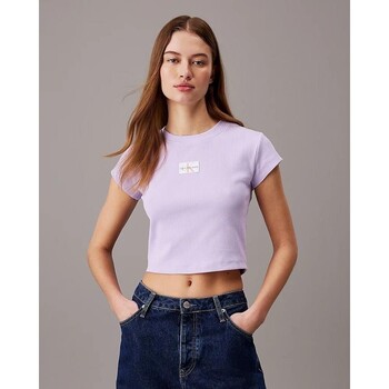 Kleidung Damen T-Shirts & Poloshirts Calvin Klein Jeans J20J223552VFR Violett