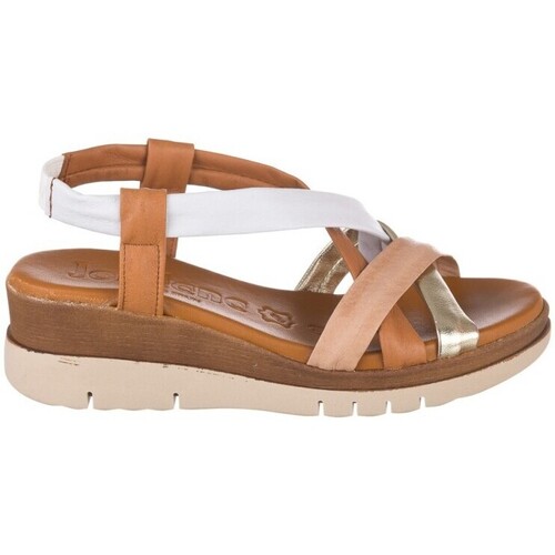 Zapp 3744 Multicolor