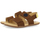 Schuhe Sandalen / Sandaletten Gioseppo CORNWALL Braun