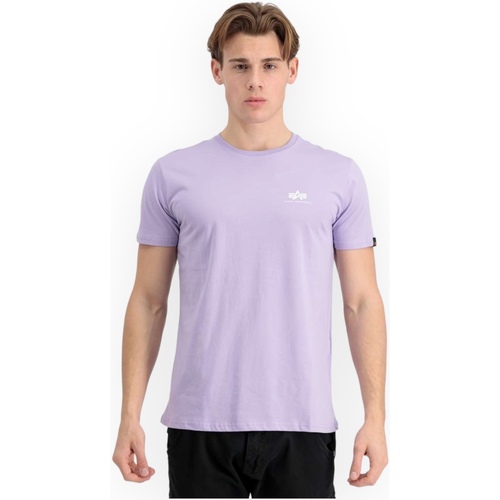 Kleidung Herren T-Shirts & Poloshirts Alpha 188505 664 Violett