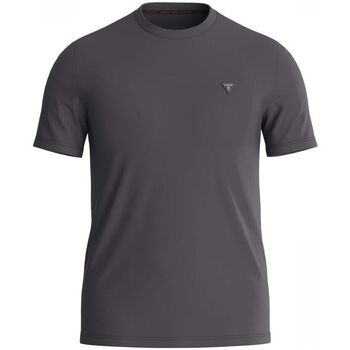 Kleidung Herren T-Shirts & Poloshirts Guess M3Y45 KBS60 TECH TEE-G9I4 MAGNETIC Grau