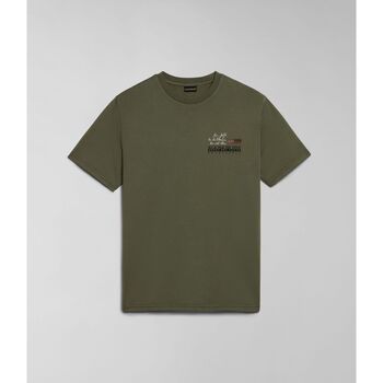 Kleidung Herren T-Shirts & Poloshirts Napapijri D-COLVILLE NP0A4HS5-GAE GREEN LICHEN Grün