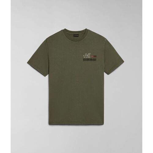 Kleidung Herren T-Shirts & Poloshirts Napapijri S-COLVILLE NP0A4HS5-GAE GREEN LICHEN Grün