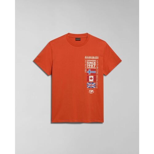 Kleidung Herren T-Shirts & Poloshirts Napapijri S-TURIN NP0A4HQG-A62 ORANGE BURNT Orange