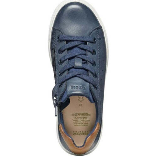 Geox  Blau