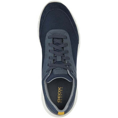 Geox  Blau
