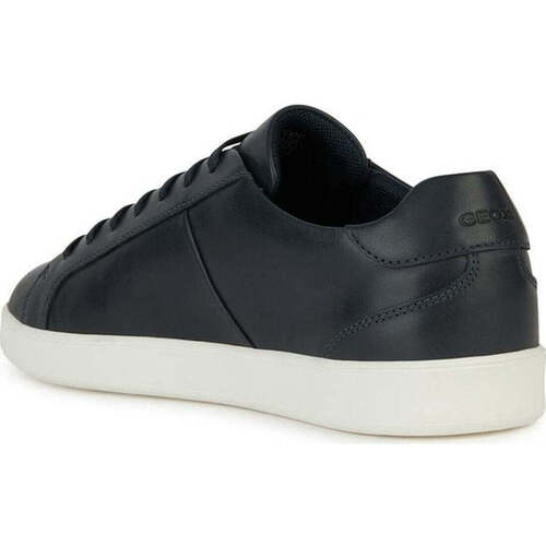 Geox  Blau