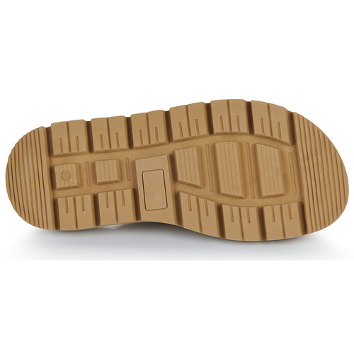 JB Martin CLORE Camel