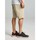 Kleidung Herren Shorts / Bermudas Slam  Beige