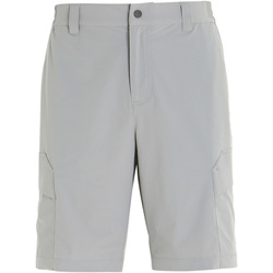 Kleidung Herren Shorts / Bermudas Slam  Grau