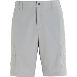 Kleidung Herren Shorts / Bermudas Slam Qd Cargo Short Grau