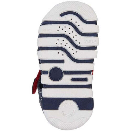 Geox  Blau