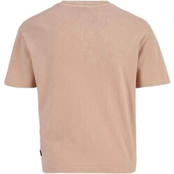 Kleidung Damen Langarmshirts Vans  Rosa