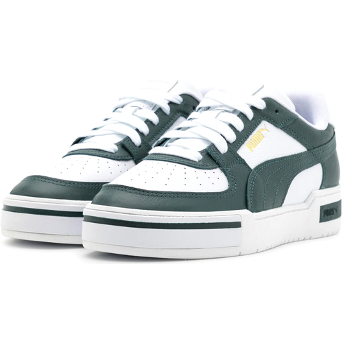 Puma  Grün