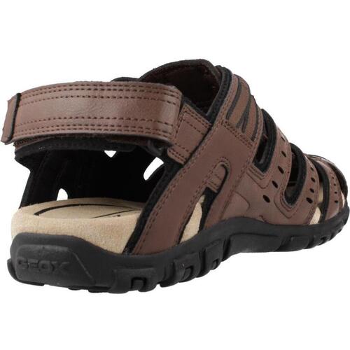 Geox U S STRADA C Braun