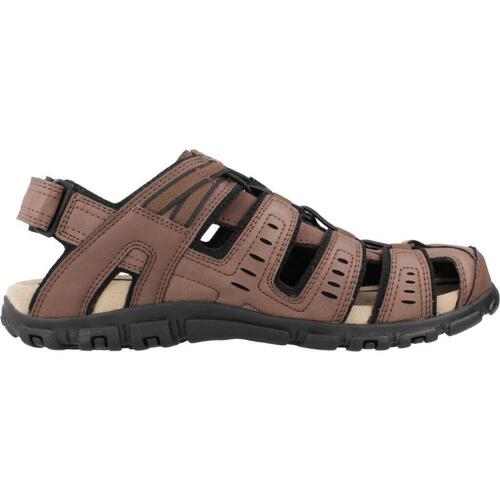 Geox U S STRADA C Braun