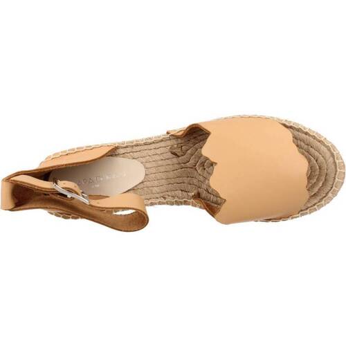 Clara Duran PLATAFP8CD Braun