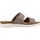Schuhe Damen Sandalen / Sandaletten Clarks APRIL DUSK Other