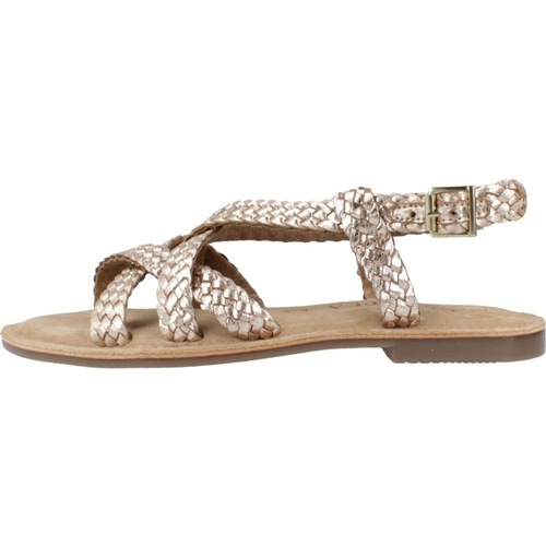 Carmela 161648c Gold