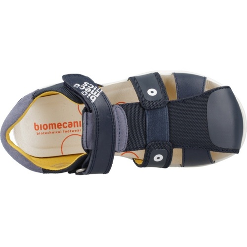 Biomecanics 242252B Blau