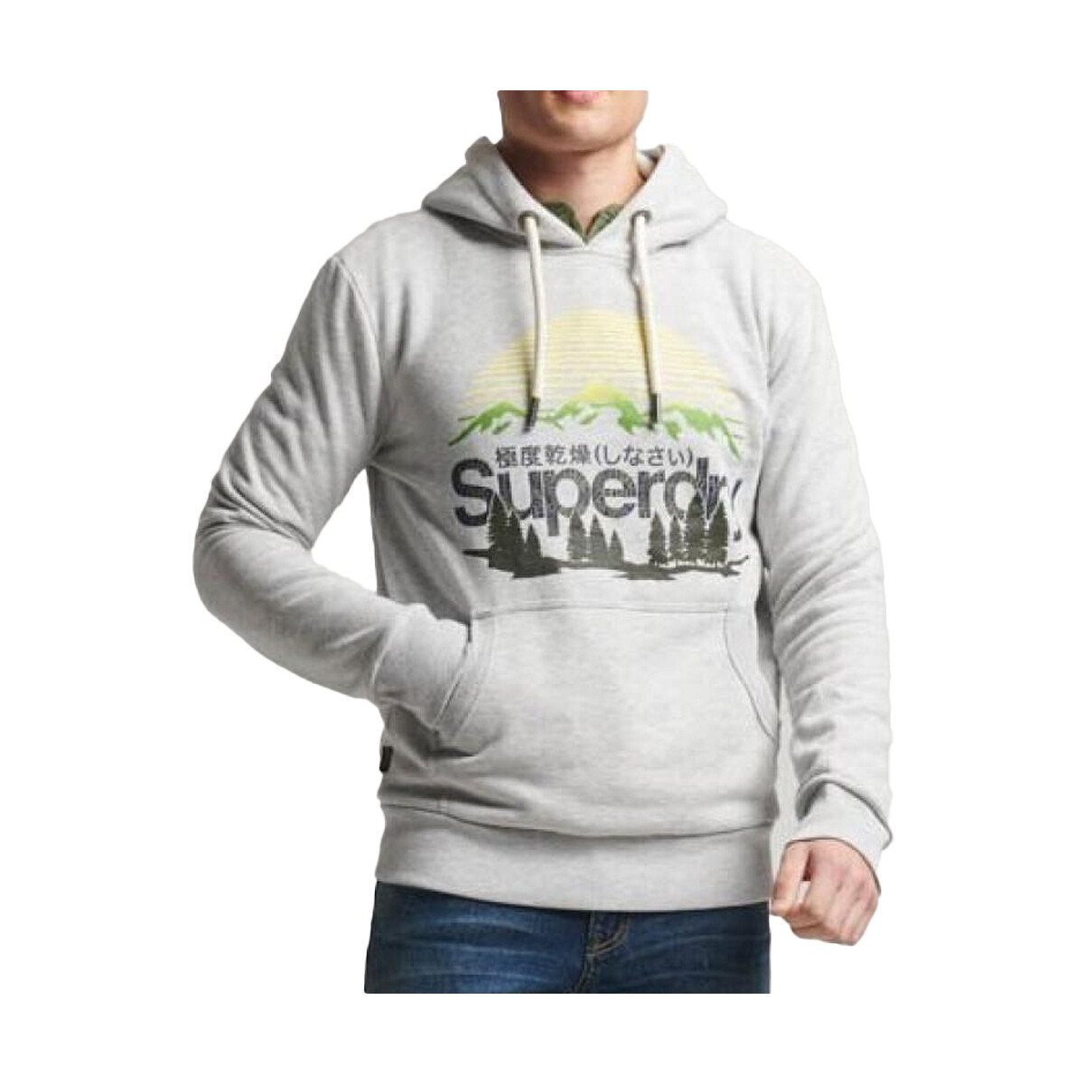 Kleidung Herren Sweatshirts Superdry M2013146A Grau
