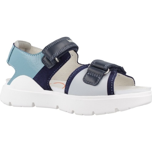 Biomecanics 242272B Blau