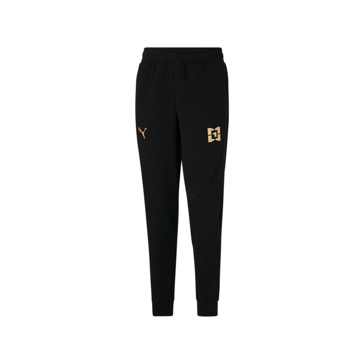 Kleidung Herren Jogginghosen Puma 621917-01 Schwarz
