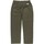 Kleidung Herren Hosen Element  Grün